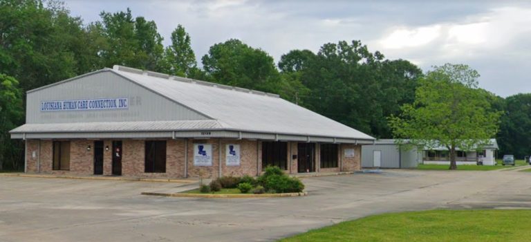 13128 Plank Rd